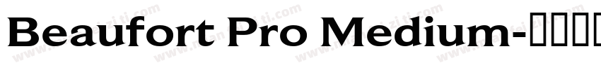 Beaufort Pro Medium字体转换